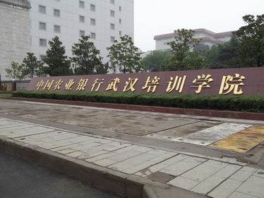 武汉金箔(d��ng)�? /></a> 
					<p><a href=